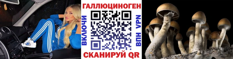 Галлюциногенные грибы Magic Shrooms  Добрянка 